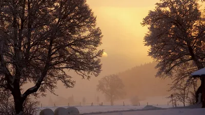 Зимнее сияние: Красочные изображения солнца в зимнем мире