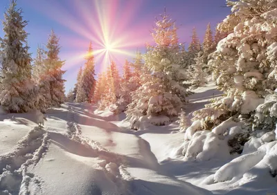 Зимнее свечение: Фото солнца на фоне зимнего неба