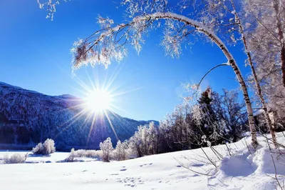 Солнечные моменты зимы: Красивые изображения зимнего солнца