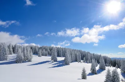 Зимний свет: Фотографии солнца, освещающего заснеженный пейзаж