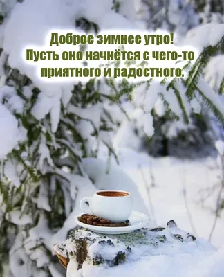 Зимний пейзаж: Фото кофе в PNG