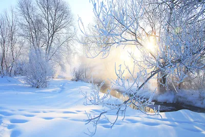 Зимнее утро: Превосходное изображение в формате JPG
