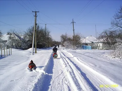 Зимние краски природы: Фотоальбом Анапы