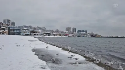 Фото-арктика: Анапа в белоснежном наряде