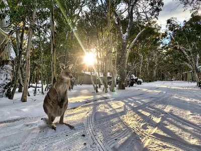 Зима в австралии фотографии