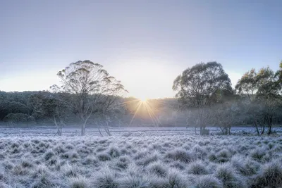 Фотографии Зимы в Австралии: Выберите свой идеальный размер