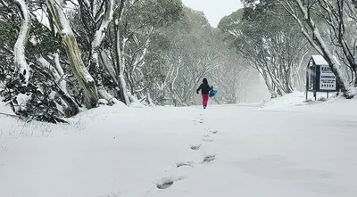 Фотографии зимнего волшебства в Австралии: Ваши размеры, ваш формат