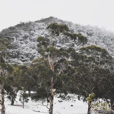 Зимние визуалы Австралии: Фото с возможностью выбора формата