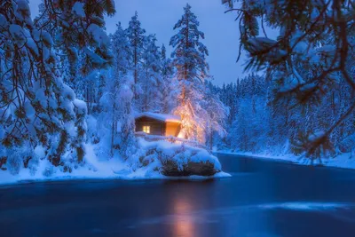 Ледяные краски: Фотографии зимы в Финляндии в различных форматах