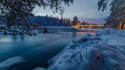 Финский зимний этюд: Изысканные фотографии доступны в JPG, PNG, WebP