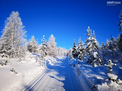 Зимний фотоальбом Финляндии: Фотографии в разных размерах и форматах