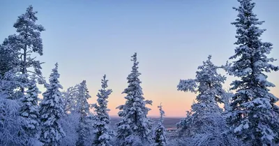 Снежные краски Финского сезона: Изображения доступны в JPG, PNG, WebP