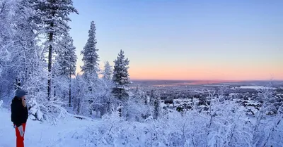 Снежные радости Финляндии: Фотографии в различных размерах и форматах
