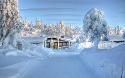 Зимний великолепие Финской природы: Фото в различных размерах и форматах