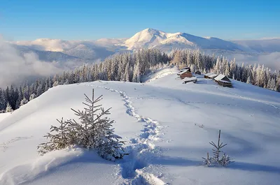 Шедевры зимних гор: новые и качественные обои для фона