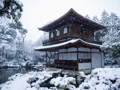 Японская зима во всей красе: Очарование фотографий