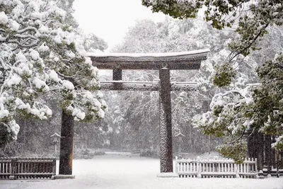 Зимние пейзажи Японии: Отражение спокойствия