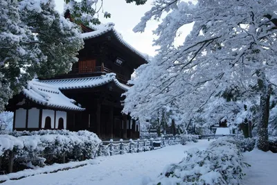 Зимние фото Японии: Волшебство природы