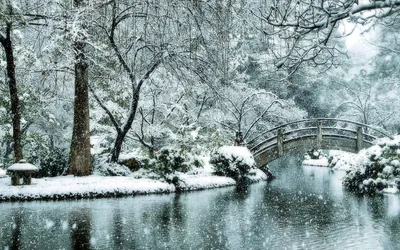 Зимние картинки природы Японии: Очарование сезона