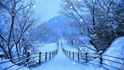 Японская зима в объективе фотоаппарата