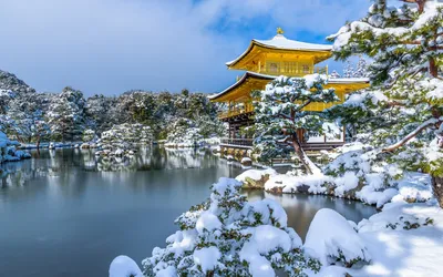 Уникальные пейзажи зимней Японии в фотографиях