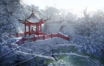 Зимние картины японской природы: Величие сезона