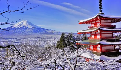 Фотографии зимних зарисовок Японии: Отражение уюта