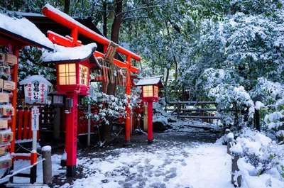 Импрессивные виды зимнего сезона в Японии