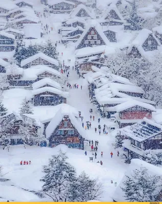 Японская зима на фотографиях: Загадочная атмосфера
