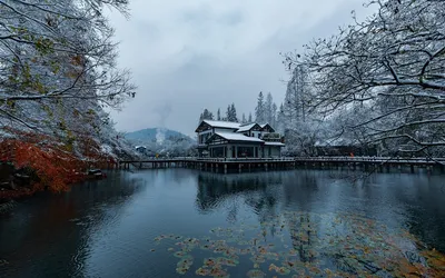 Фотографии зимнего сезона в Японии: Разнообразие форматов