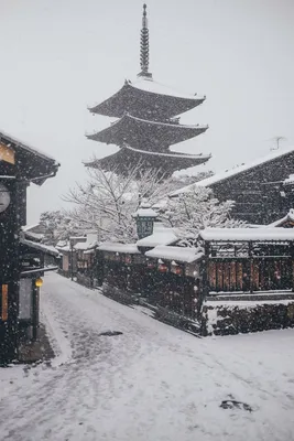 Японская зима: Фотографии для скачивания в различных форматах