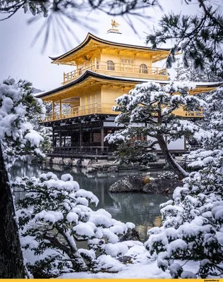 Фото зимней Японии: Изображения в различных размерах