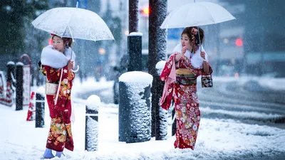 Фотографии японской зимы: Искусство природы