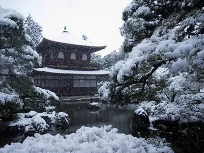 Зимние сцены Японии: Изысканные изображения