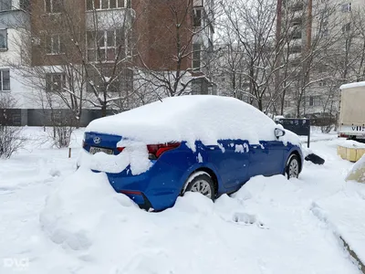 Зимний лендшафт Краснодара: Фотографии высокого качества