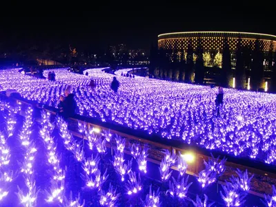 Фотографии Краснодара в зимнем наряде: Выбери формат