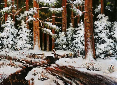 Фото зимы в лесу: красота природы в картинках 