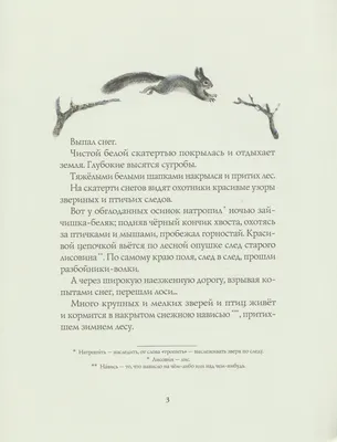 Рисунки зимнего леса: украсьте свой рабочий стол красотой природы