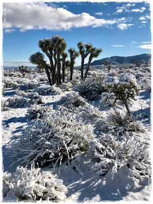Зимний пейзаж Калифорнии: Фотографии в различных форматах