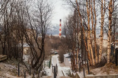 Зимний Мурманск: Уникальные фотографии зимнего города