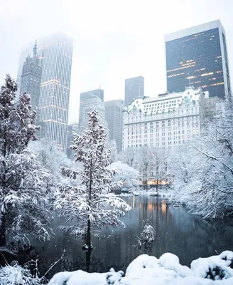 Зимний Нью-Йорк: Снежные фото с уличными сценами