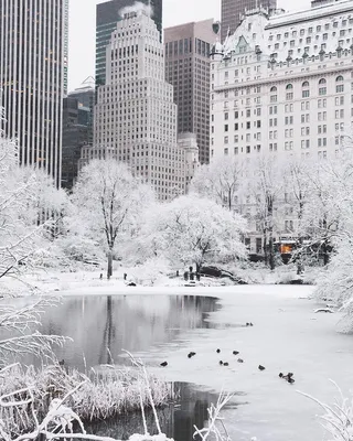 Фото Зимы в Нью-Йорке: Очарование снегопада