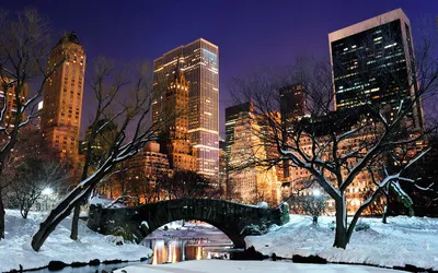 Зима в Нью-Йорке: Городской пейзаж под покрывалом снега