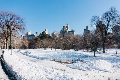 Зимний Нью-Йорк: Фотографии снегопада в разных форматах