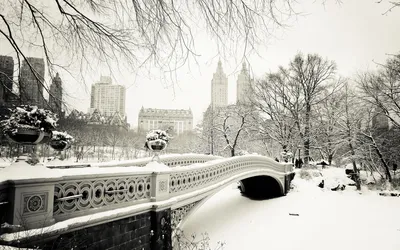 Зимний Нью-Йорк в WebP: Уникальные заснеженные виды