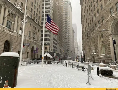 Зимний Нью-Йорк: Зимние фото уличной атмосферы
