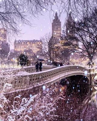 Зимний Нью-Йорк: Заснеженные парки и скверы