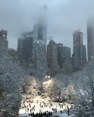 Фото Зимы в Нью-Йорке: Городской пейзаж в снегу