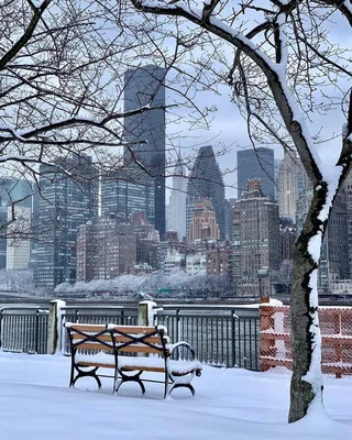 Зимний Нью-Йорк: Фото зимнего города с уникальными ракурсами