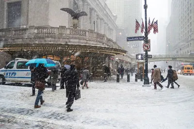 Зимний Нью-Йорк в WebP: Уникальные снежные скульптуры
